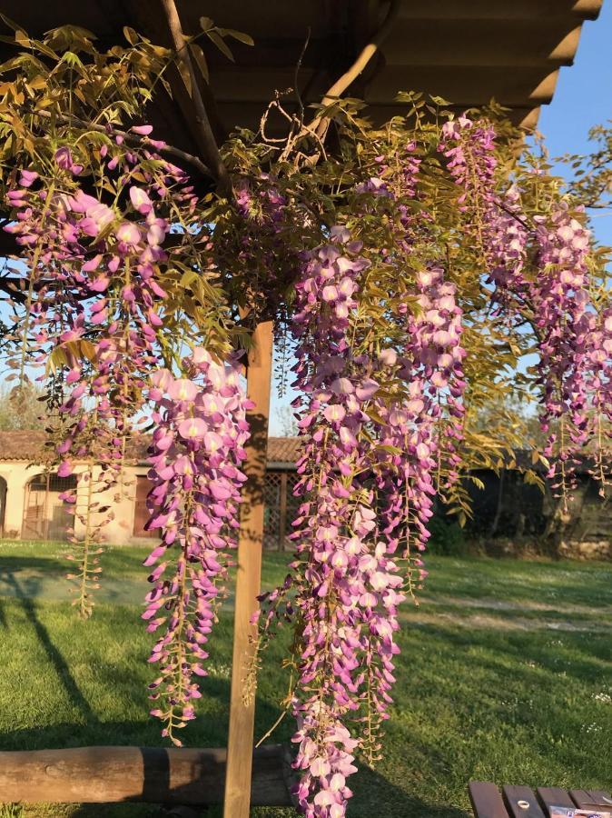 Agriturismo Corte Galvagnina Cesole Exterior photo